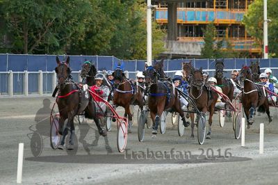 20161009_R08_042.jpg