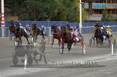 20161009_R08_059.jpg