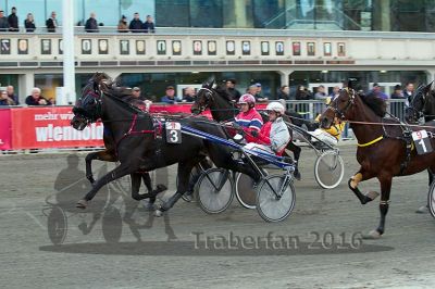 20161009_R09_044.jpg