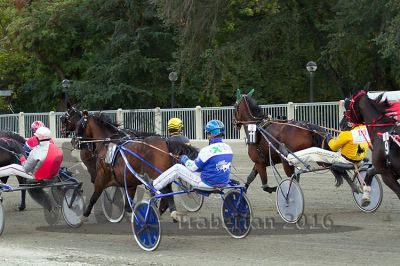 20161009_R09_061.jpg