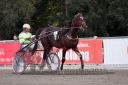 Dateiname=20161009_R09_108.jpg
Dateigröße=113KB
Abmessungen: 750x500
hinzugefügt am: 12. Oktober 2016 20161009_R09_108.jpg