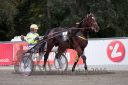 Dateiname=20161009_R09_110.jpg
Dateigröße=112KB
Abmessungen: 750x500
hinzugefügt am: 12. Oktober 2016 20161009_R09_110.jpg