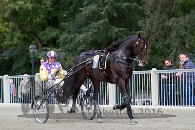 20161009_R10_040.jpg