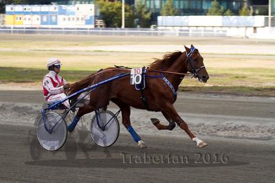 20161009_R10_057.jpg