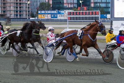 20161009_R10_164.jpg