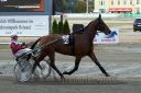 Dateiname=20161009_R10_027.jpg
Dateigröße=115KB
Abmessungen: 750x500
hinzugefügt am: 12. Oktober 2016 20161009_R10_027.jpg