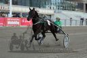 Dateiname=20161009_R10_034.jpg
Dateigröße=108KB
Abmessungen: 750x500
hinzugefügt am: 12. Oktober 2016 20161009_R10_034.jpg