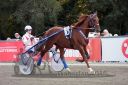 Dateiname=20161009_R10_043.jpg
Dateigröße=111KB
Abmessungen: 750x500
hinzugefügt am: 12. Oktober 2016 20161009_R10_043.jpg
