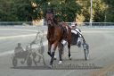 Dateiname=20161009_R10_080.jpg
Dateigröße=114KB
Abmessungen: 750x500
hinzugefügt am: 12. Oktober 2016 20161009_R10_080.jpg