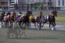 20161009_R10_157.jpg