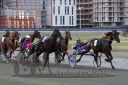 20161009_R10_161.jpg