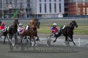 Dateiname=20161009_R10_186.jpg
Dateigröße=104KB
Abmessungen: 750x500
hinzugefügt am: 12. Oktober 2016 20161009_R10_186.jpg