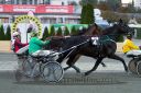 Dateiname=20161009_R10_195.jpg
Dateigröße=122KB
Abmessungen: 750x500
hinzugefügt am: 12. Oktober 2016 20161009_R10_195.jpg