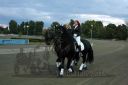 Dateiname=20161009_R10_235.jpg
Dateigröße=87KB
Abmessungen: 750x500
hinzugefügt am: 12. Oktober 2016 20161009_R10_235.jpg
