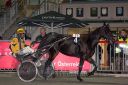 Dateiname=20161009_R11_064.jpg
Dateigröße=119KB
Abmessungen: 750x500
hinzugefügt am: 12. Oktober 2016 20161009_R11_064.jpg