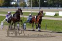 Dateiname=20161016_qu1_007.jpg
Dateigröße=121KB
Abmessungen: 750x500
hinzugefügt am: 19. Oktober 2016 20161016_qu1_007.jpg