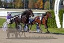 Dateiname=20161016_qu1_009.jpg
Dateigröße=136KB
Abmessungen: 750x500
hinzugefügt am: 19. Oktober 2016 20161016_qu1_009.jpg