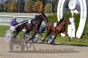 Dateiname=20161016_qu1_010.jpg
Dateigröße=136KB
Abmessungen: 750x500
hinzugefügt am: 19. Oktober 2016 20161016_qu1_010.jpg
