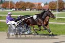 Dateiname=20161016_qu1_013.jpg
Dateigröße=127KB
Abmessungen: 750x500
hinzugefügt am: 19. Oktober 2016 20161016_qu1_013.jpg