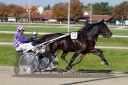 Dateiname=20161016_qu1_014.jpg
Dateigröße=120KB
Abmessungen: 750x500
hinzugefügt am: 19. Oktober 2016 20161016_qu1_014.jpg