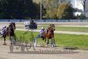 Dateiname=20161016_qu1_017.jpg
Dateigröße=117KB
Abmessungen: 750x500
hinzugefügt am: 19. Oktober 2016 20161016_qu1_017.jpg