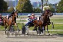 Dateiname=20161016_qu3_030.jpg
Dateigröße=132KB
Abmessungen: 750x500
hinzugefügt am: 19. Oktober 2016 20161016_qu3_030.jpg