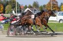 Dateiname=20161016_qu3_036.jpg
Dateigröße=133KB
Abmessungen: 750x500
hinzugefügt am: 19. Oktober 2016 20161016_qu3_036.jpg