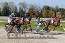 Dateiname=20161016_qu4_007.jpg
Dateigröße=132KB
Abmessungen: 750x500
hinzugefügt am: 19. Oktober 2016 20161016_qu4_007.jpg