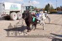 Dateiname=20161016_mini_064.jpg
Dateigröße=138KB
Abmessungen: 750x500
hinzugefügt am: 19. Oktober 2016 20161016_mini_064.jpg