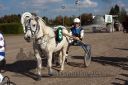 Dateiname=20161016_mini_069.jpg
Dateigröße=125KB
Abmessungen: 750x500
hinzugefügt am: 19. Oktober 2016 20161016_mini_069.jpg