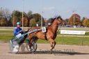 Dateiname=20161016_r01_006.jpg
Dateigröße=117KB
Abmessungen: 750x500
hinzugefügt am: 19. Oktober 2016 20161016_r01_006.jpg