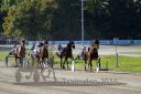 Dateiname=20161016_r03_064.jpg
Dateigröße=131KB
Abmessungen: 750x500
hinzugefügt am: 19. Oktober 2016 20161016_r03_064.jpg