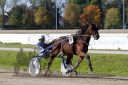 Dateiname=20161016_r03_075.jpg
Dateigröße=114KB
Abmessungen: 750x500
hinzugefügt am: 19. Oktober 2016 20161016_r03_075.jpg