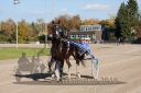 Dateiname=20161016_r04_106.jpg
Dateigröße=127KB
Abmessungen: 750x500
hinzugefügt am: 20. Oktober 2016 20161016_r04_106.jpg