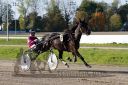 Dateiname=20161016_r06_010.jpg
Dateigröße=127KB
Abmessungen: 750x500
hinzugefügt am: 20. Oktober 2016 20161016_r06_010.jpg