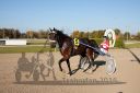 Dateiname=20161016_r06_109.jpg
Dateigröße=99KB
Abmessungen: 750x500
hinzugefügt am: 20. Oktober 2016 20161016_r06_109.jpg