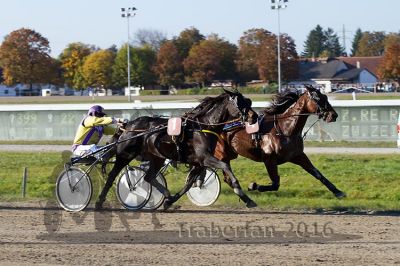 20161016_r07_089.jpg