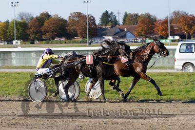 20161016_r07_090.jpg