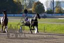 Dateiname=20161016_r07_053.jpg
Dateigröße=122KB
Abmessungen: 750x500
hinzugefügt am: 20. Oktober 2016 20161016_r07_053.jpg