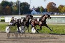 Dateiname=20161016_r07_086.jpg
Dateigröße=130KB
Abmessungen: 750x500
hinzugefügt am: 20. Oktober 2016 20161016_r07_086.jpg