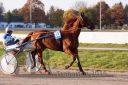 Dateiname=20161016_r09_017.jpg
Dateigröße=127KB
Abmessungen: 750x500
hinzugefügt am: 20. Oktober 2016 20161016_r09_017.jpg