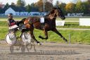 Dateiname=20161016_r09_028.jpg
Dateigröße=126KB
Abmessungen: 750x500
hinzugefügt am: 20. Oktober 2016 20161016_r09_028.jpg