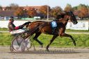 Dateiname=20161016_r09_031.jpg
Dateigröße=121KB
Abmessungen: 750x500
hinzugefügt am: 20. Oktober 2016 20161016_r09_031.jpg