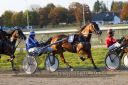 Dateiname=20161016_r09_052.jpg
Dateigröße=130KB
Abmessungen: 750x500
hinzugefügt am: 20. Oktober 2016 20161016_r09_052.jpg