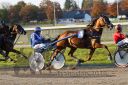 Dateiname=20161016_r09_053.jpg
Dateigröße=136KB
Abmessungen: 750x500
hinzugefügt am: 20. Oktober 2016 20161016_r09_053.jpg