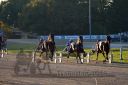 Dateiname=20161016_r09_064.jpg
Dateigröße=109KB
Abmessungen: 750x500
hinzugefügt am: 20. Oktober 2016 20161016_r09_064.jpg