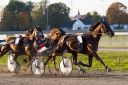 Dateiname=20161016_r09_076.jpg
Dateigröße=128KB
Abmessungen: 750x500
hinzugefügt am: 20. Oktober 2016 20161016_r09_076.jpg
