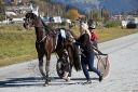 Dateiname=20161023_janine_022.jpg
Dateigröße=134KB
Abmessungen: 750x500
hinzugefügt am: 25. Oktober 2016 20161023_janine_022.jpg