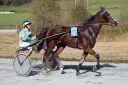 Dateiname=20161023_janine_034.jpg
Dateigröße=126KB
Abmessungen: 750x500
hinzugefügt am: 25. Oktober 2016 20161023_janine_034.jpg