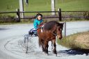Dateiname=20161023_janine_078.jpg
Dateigröße=116KB
Abmessungen: 750x500
hinzugefügt am: 25. Oktober 2016 20161023_janine_078.jpg